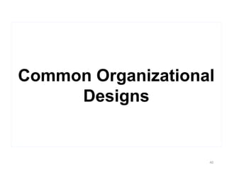 Common Organizational
Designs
40
 