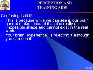 Chapter 8: Perception and Visual Aids | PPT