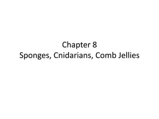Chapter 8
Sponges, Cnidarians, Comb Jellies
 