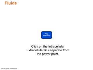 Chapter 8 Power Point | PPTX
