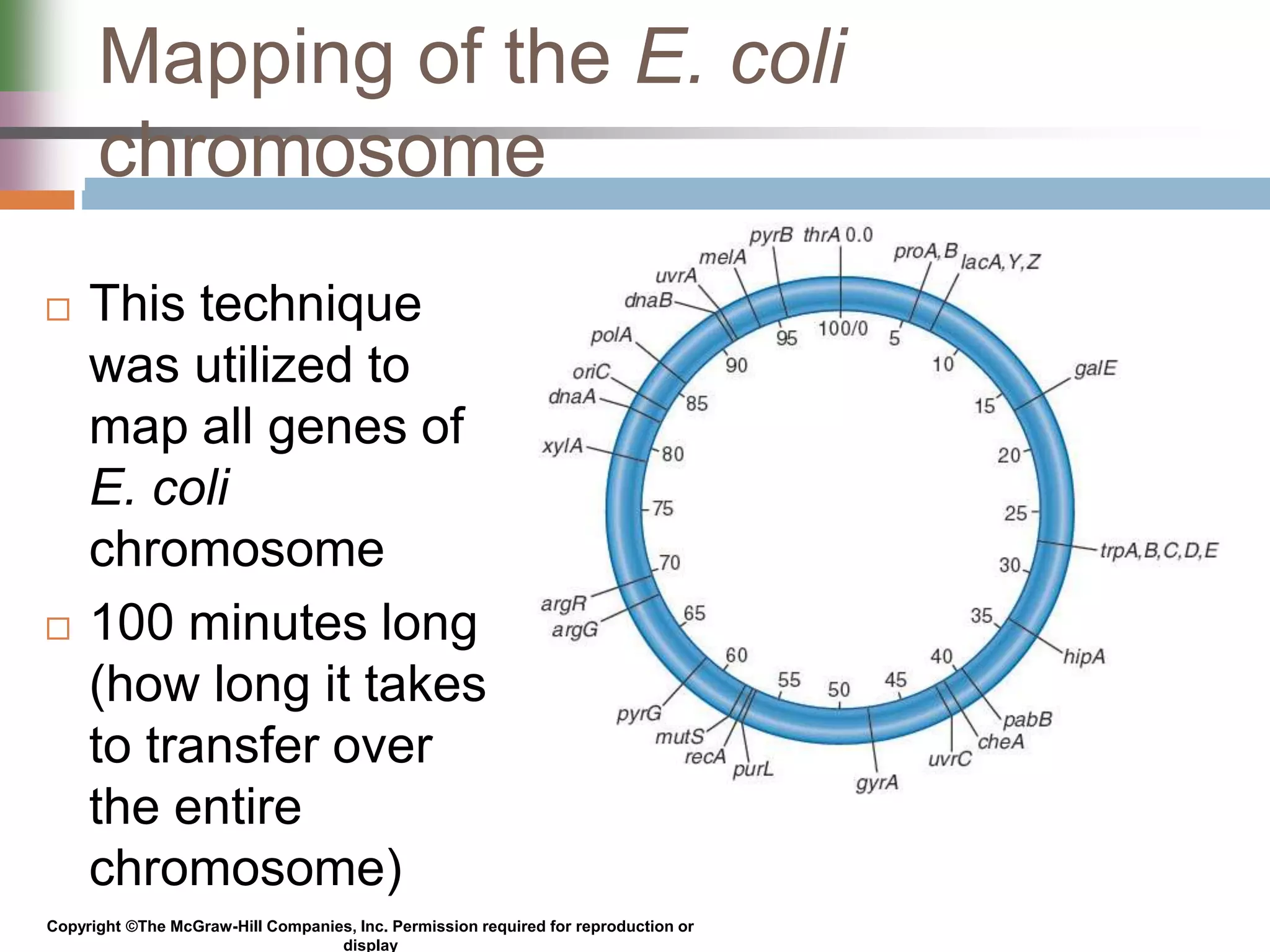 Genetic Analysis and Mapping in Bacteria and Bacteriophages | PPTX