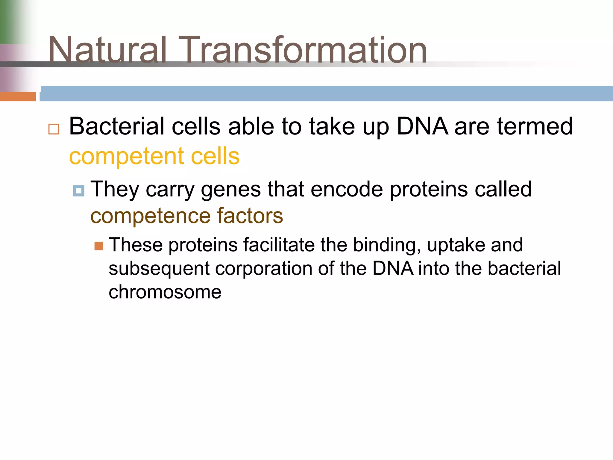 Genetic Analysis and Mapping in Bacteria and Bacteriophages | PPTX