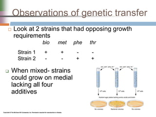 Observations of genetic transfer
 Look at 2 strains that had opposing growth
requirements
bio met phe thr
Strain 1
Strain 2
+
-
+
-
-
+
-
+
 When mixed- strains
could grow on medial
lacking all four
additives
 