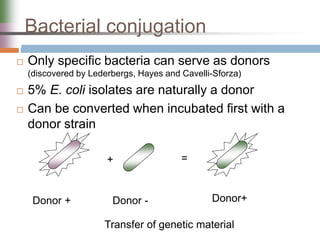 Bacterial conjugation
 Only specific bacteria can serve as donors
(discovered by Lederbergs, Hayes and Cavelli-Sforza)
 5% E. coli isolates are naturally a donor
 Can be converted when incubated first with a
donor strain
Donor + Donor -
+ =
Donor+
Transfer of genetic material
 