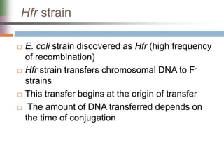 Hfr strain
 E. coli strain discovered as Hfr (high frequency
of recombination)
 Hfr strain transfers chromosomal DNA to F-
strains
 This transfer begins at the origin of transfer
 The amount of DNA transferred depends on
the time of conjugation
 