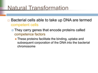 Natural Transformation
 Bacterial cells able to take up DNA are termed
competent cells
 They carry genes that encode proteins called
competence factors
 These proteins facilitate the binding, uptake and
subsequent corporation of the DNA into the bacterial
chromosome
 