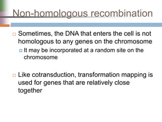 Non-homologous recombination
 Sometimes, the DNA that enters the cell is not
homologous to any genes on the chromosome
 It may be incorporated at a random site on the
chromosome
 Like cotransduction, transformation mapping is
used for genes that are relatively close
together
 