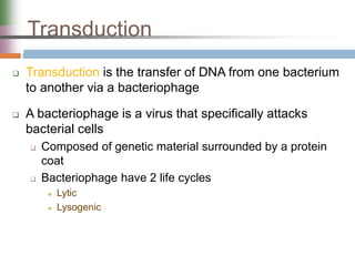 Transduction
 Transduction is the transfer of DNA from one bacterium
to another via a bacteriophage
 A bacteriophage is a virus that specifically attacks
bacterial cells
 Composed of genetic material surrounded by a protein
coat
 Bacteriophage have 2 life cycles
 Lytic
 Lysogenic
 