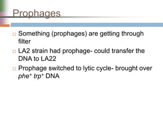 Prophages
 Something (prophages) are getting through
filter
 LA2 strain had prophage- could transfer the
DNA to LA22
 Prophage switched to lytic cycle- brought over
phe+ trp+ DNA
 