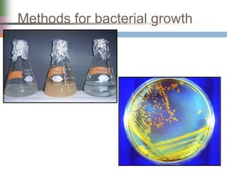 Methods for bacterial growth
 
