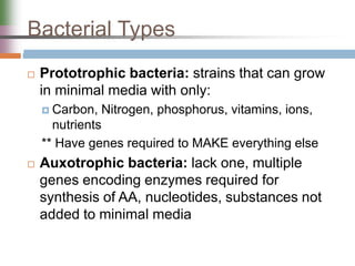 Bacterial Types
 Prototrophic bacteria: strains that can grow
in minimal media with only:
 Carbon, Nitrogen, phosphorus, vitamins, ions,
nutrients
** Have genes required to MAKE everything else
 Auxotrophic bacteria: lack one, multiple
genes encoding enzymes required for
synthesis of AA, nucleotides, substances not
added to minimal media
 