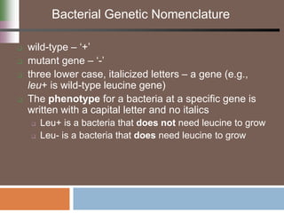 Bacterial Genetic Nomenclature
 wild-type – ‘+’
 mutant gene – ‘-’
 three lower case, italicized letters – a gene (e.g.,
leu+ is wild-type leucine gene)
 The phenotype for a bacteria at a specific gene is
written with a capital letter and no italics
 Leu+ is a bacteria that does not need leucine to grow
 Leu- is a bacteria that does need leucine to grow
 
