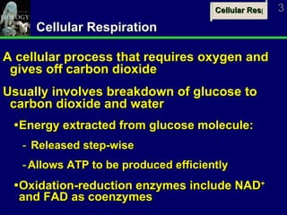 Chapter 8 Powerpoint Le | PPT