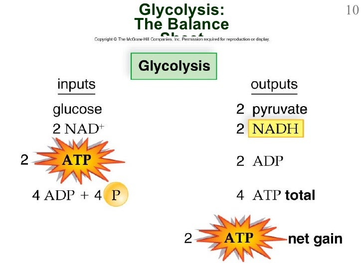 Chapter 8 Powerpoint Le