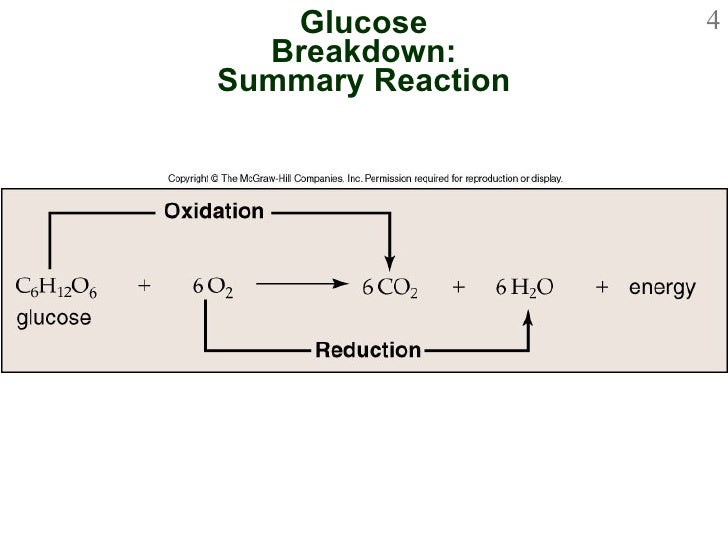 Chapter 8 Powerpoint Le