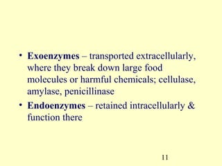 • Exoenzymes – transported extracellularly,
  where they break down large food
  molecules or harmful chemicals; cellulase,
  amylase, penicillinase
• Endoenzymes – retained intracellularly &
  function there



                                   11
 