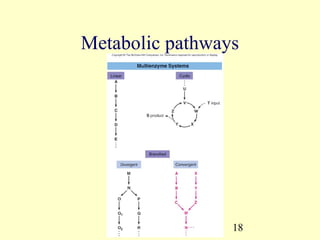 Metabolic pathways




                 18
 