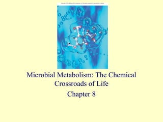 Microbial Metabolism: The Chemical
         Crossroads of Life
             Chapter 8
 