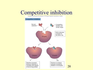 Competitive inhibition




                   20
 