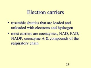 Electron carriers
• resemble shuttles that are loaded and
  unloaded with electrons and hydrogen
• most carriers are coenzymes, NAD, FAD,
  NADP, coenzyme A & compounds of the
  respiratory chain




                                23
 