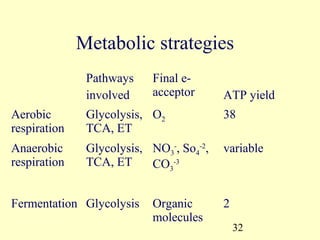 Metabolic strategies
               Pathways     Final e-
               involved     acceptor      ATP yield
Aerobic        Glycolysis, O2             38
respiration    TCA, ET
Anaerobic      Glycolysis, NO3-, So4-2,   variable
respiration    TCA, ET     CO3-3


Fermentation Glycolysis     Organic       2
                            molecules
                                              32
 