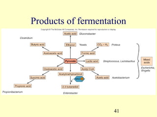 Products of fermentation




                    41
 