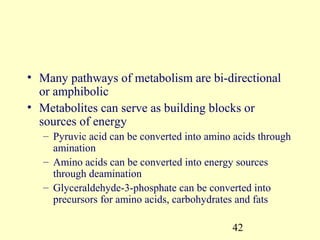 • Many pathways of metabolism are bi-directional
  or amphibolic
• Metabolites can serve as building blocks or
  sources of energy
   – Pyruvic acid can be converted into amino acids through
     amination
   – Amino acids can be converted into energy sources
     through deamination
   – Glyceraldehyde-3-phosphate can be converted into
     precursors for amino acids, carbohydrates and fats

                                             42
 