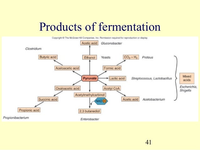pharmaceutics - Pharmaceutics 41 638