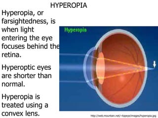 Chapter 8 ppt-senses.ppt