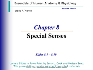 Essentials of Human Anatomy & Physiology
Copyright © 2003 Pearson Education, Inc. publishing as Benjamin Cummings
Slides 8.1 – 8.19
Seventh Edition
Elaine N. Marieb
Chapter 8
Special Senses
Lecture Slides in PowerPoint by Jerry L. Cook and Melissa Scott
This presentation contains copyright protected materials
 