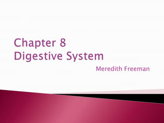 Chapter 8Digestive System Meredith Freeman 
