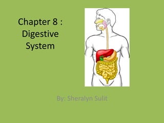 Chapter 8 : Digestive System By: Sheralyn Sulit 