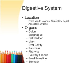 Digestive System
• Location
  – From Mouth to Anus, Alimentary Canal
  – Accessory Organs
• Organs
  –   Colon
  –   Esophagus
  –   Gallbladder
  –   Liver
  –   Oral Cavity
  –   Pancreas
  –   Pharynx
  –   Salivary Glands
  –   Small Intestine
  –   Stomach
 