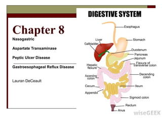 Chapter 8
Nasogastric
Aspartate Transaminase
Peptic Ulcer Disease
Gastroesophageal Reflux Disease

Lauran DeCeault

 