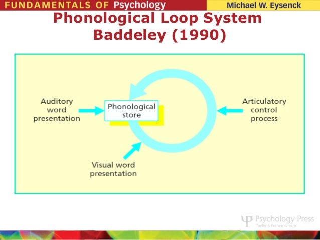 Phonological Loop Definition In Psychology – PKYGD