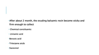 •After about 2 month, the exuding balsamic resin become sticky and
firm enough to collect
• Chemical constituents:
• cinnamic acid
•Benzoic acid
•Triterpene aicds
•Siaresinol
 