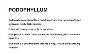 Know Podophyle resins | PPTX