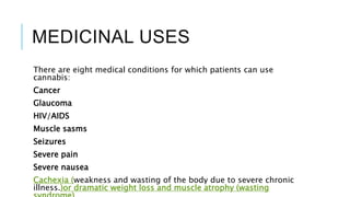 MEDICINAL USES
There are eight medical conditions for which patients can use
cannabis:
Cancer
Glaucoma
HIV/AIDS
Muscle sasms
Seizures
Severe pain
Severe nausea
Cachexia (weakness and wasting of the body due to severe chronic
illness.)or dramatic weight loss and muscle atrophy (wasting
 