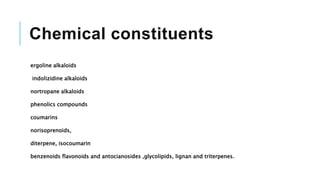 Chemical constituents
ergoline alkaloids
indolizidine alkaloids
nortropane alkaloids
phenolics compounds
coumarins
norisoprenoids,
diterpene, isocoumarin
benzenoids flavonoids and antocianosides ,glycolipids, lignan and triterpenes.
 