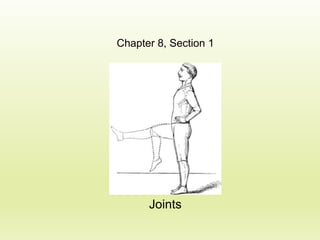Chapter 8, Section 1

Joints

 