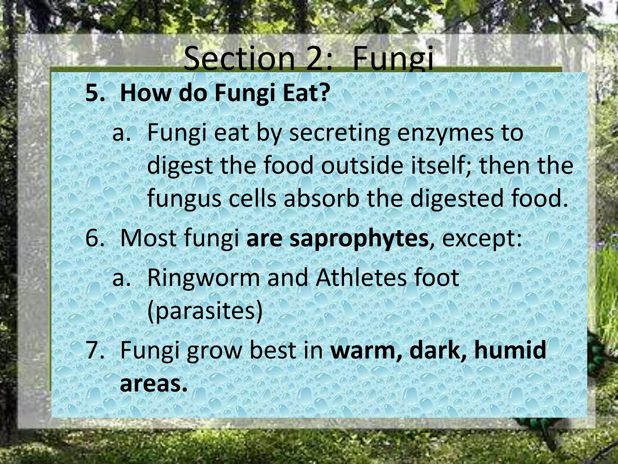 Section 2:  FungiHow do Fungi Eat?Fungi eat by secreting enzymes to digest the food outside itself; then the fungus cells absorb the digested food. Most fungi are saprophytes, except:Ringworm and Athletes foot (parasites)Fungi grow best in warm, dark, humid areas.