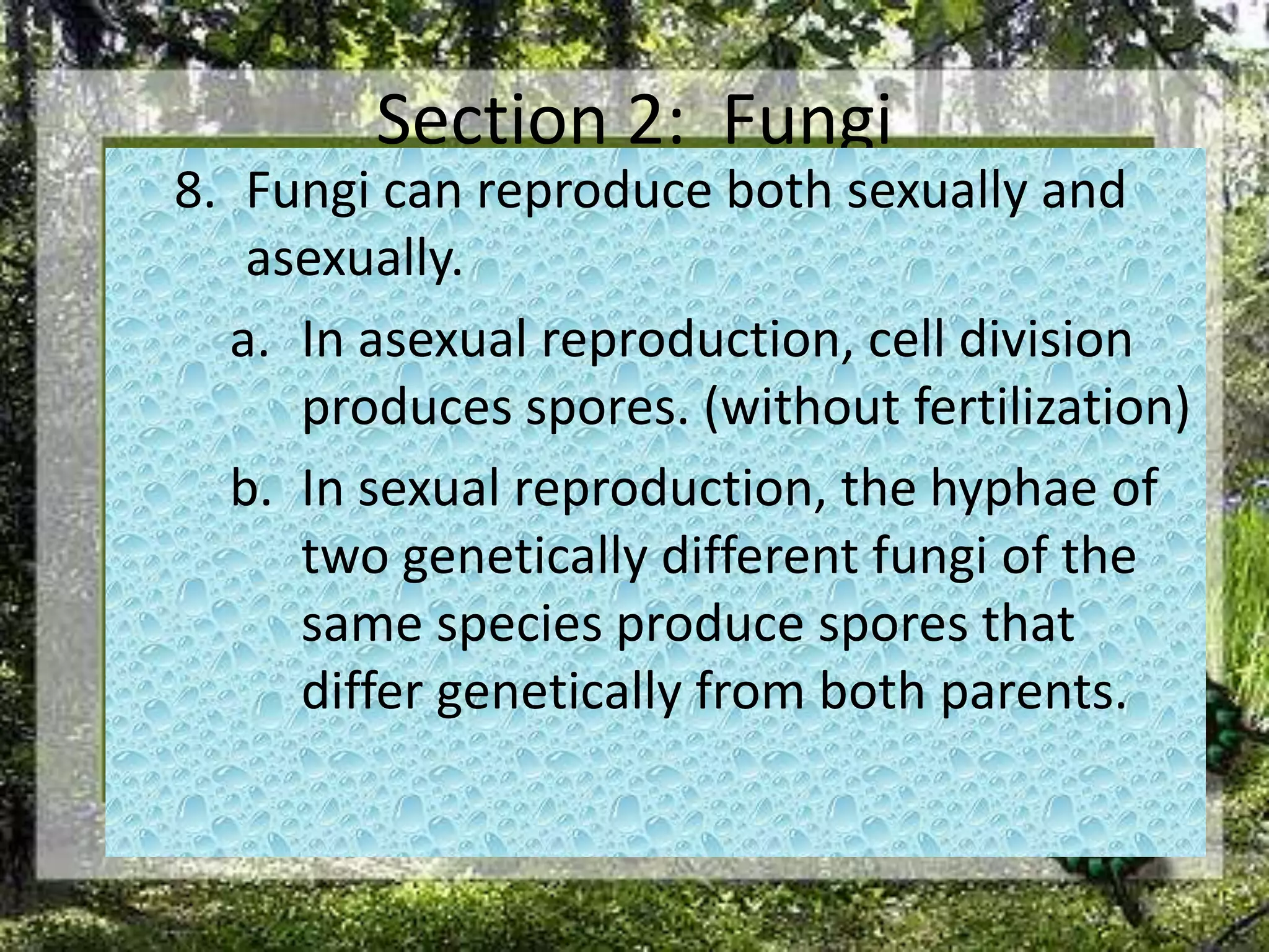 Section 2:  FungiFungi can reproduce both sexually and asexually. In asexual reproduction, cell division produces spores. (without fertilization)In sexual reproduction, the hyphae of two genetically different fungi of the same species produce spores that differ genetically from both parents. 