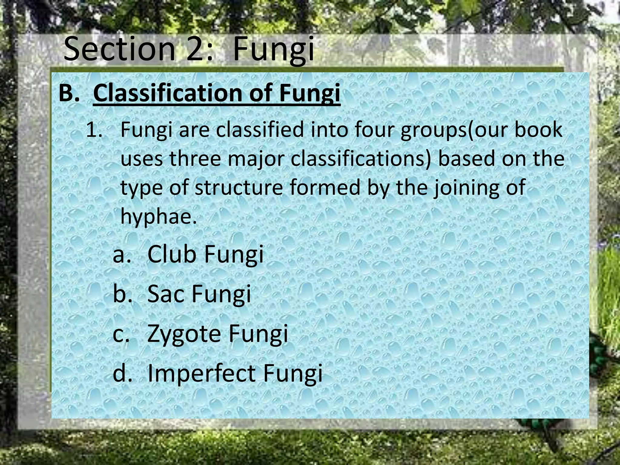 Section 2:  FungiClassification of FungiFungi are classified into four groups(our book uses three major classifications) based on the type of structure formed by the joining of hyphae. Club FungiSac FungiZygote FungiImperfect Fungi