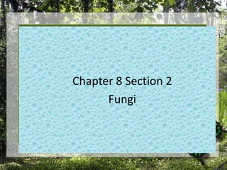 Chapter 8 Section 2 Fungi 