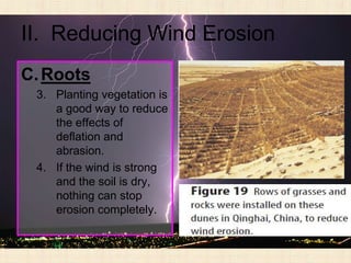 II. Reducing Wind Erosion
C. Roots
 3. Planting vegetation is
    a good way to reduce
    the effects of
    deflation and
    abrasion.
 4. If the wind is strong
    and the soil is dry,
    nothing can stop
    erosion completely.
 
