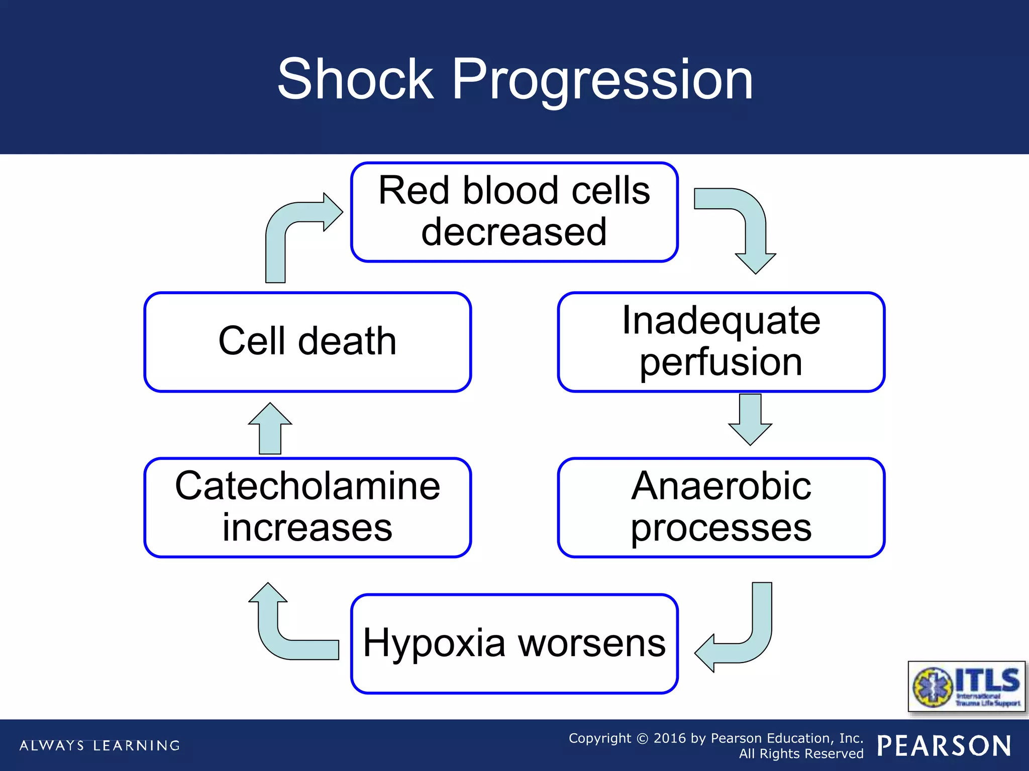 Copyright © 2016 by Pearson Education, Inc.
All Rights Reserved
Shock Progression
Red blood cells
decreased
Inadequate
perfusion
Anaerobic
processes
Hypoxia worsens
Catecholamine
increases
Cell death
 