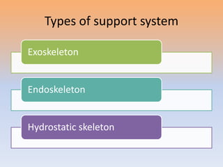 Chapter 8 slideshow | PPSX