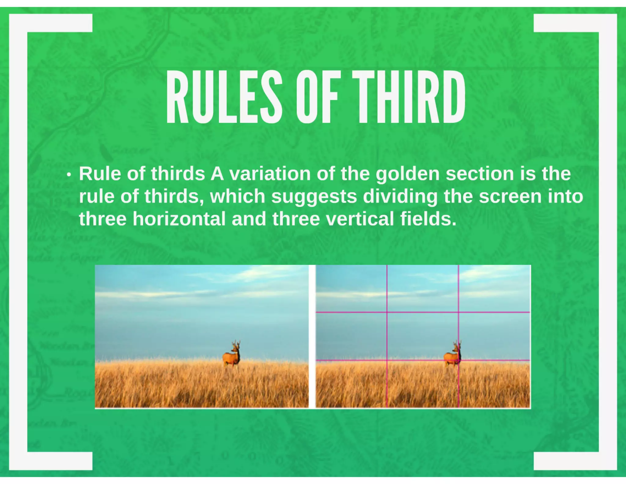 Chapter 8 structuring the two dimensional field interplay of screen forces