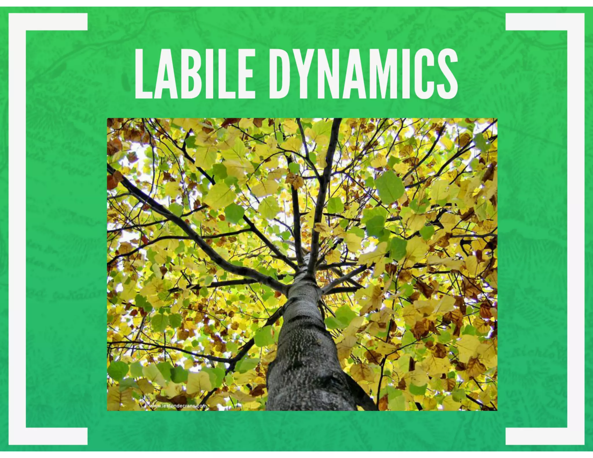 Chapter 8 structuring the two dimensional field interplay of screen forces