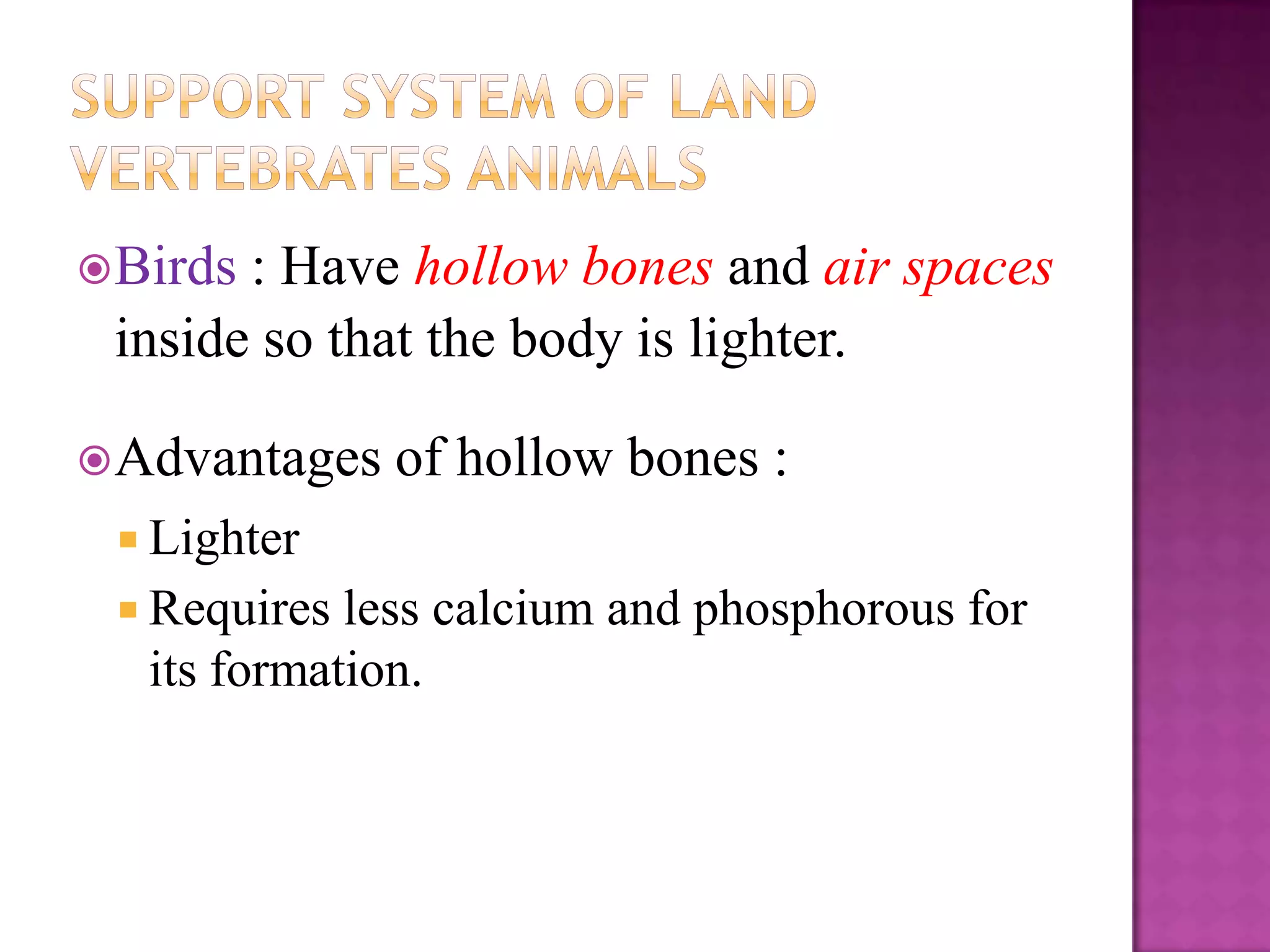  Birds: Have hollow bones and air spaces
 inside so that the body is lighter.

 Advantages   of hollow bones :
  Lighter
  Requires  less calcium and phosphorous for
   its formation.
 